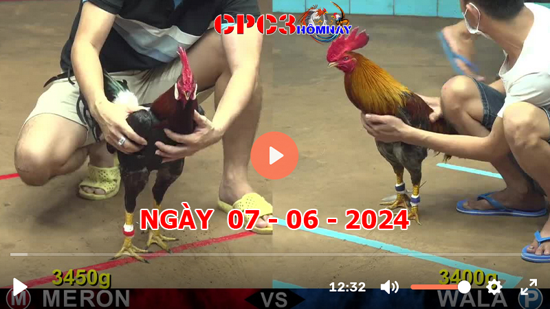 Đá gà CPC3 ngày 07-06-2024