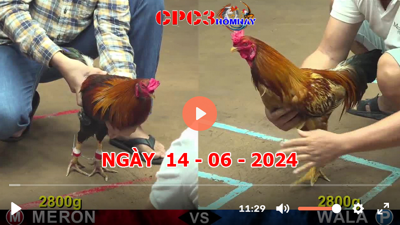 Đá gà CPC3 ngày 14-06-2024