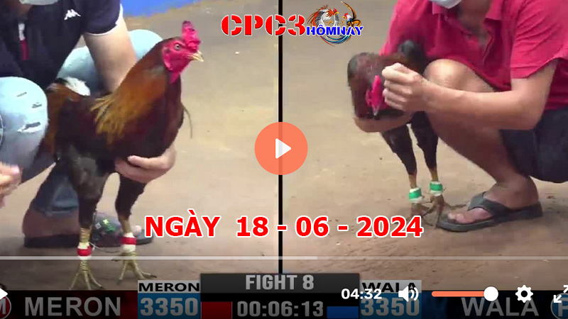 Đá gà CPC3 ngày 18-06-2024