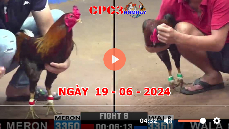 Đá gà CPC3 ngày 19-06-2024