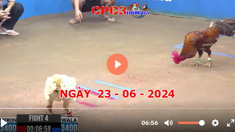 Đá gà CPC3 ngày 23-06-2024