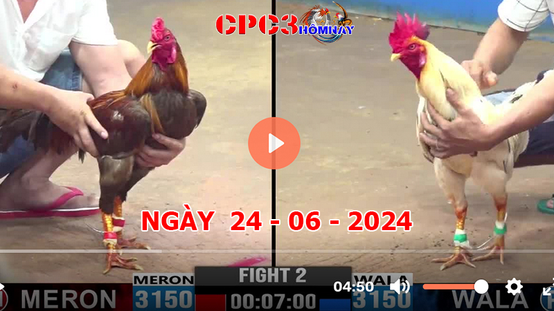 Đá gà CPC3 ngày 24-06-2024