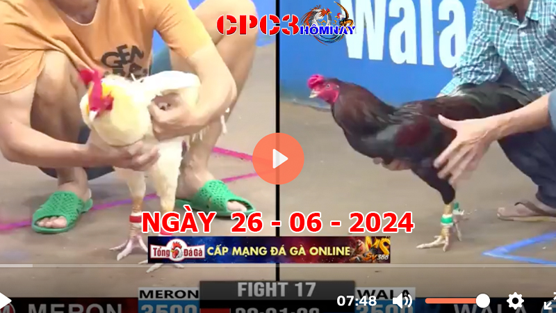 Đá gà CPC3 ngày 26-06-2024