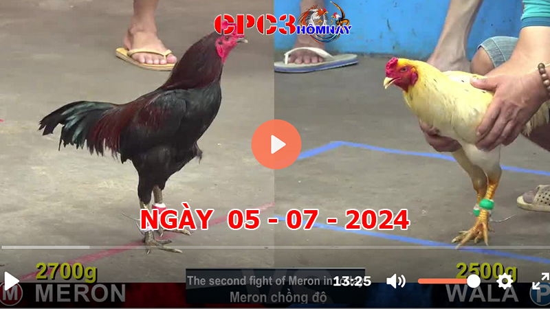 Đá gà CPC3 ngày 05-7-2024