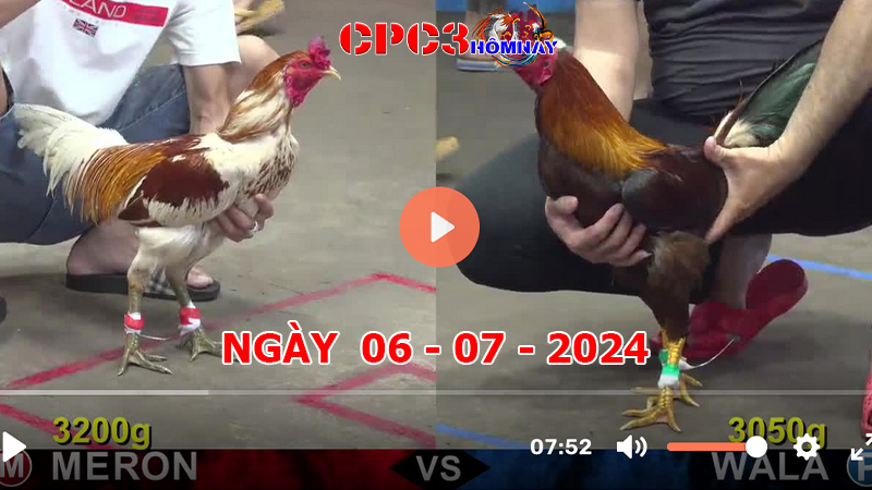 Đá gà CPC3 ngày 06-7-2024