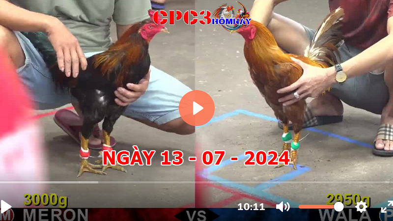 Đá gà CPC3 ngày 13-7-2024