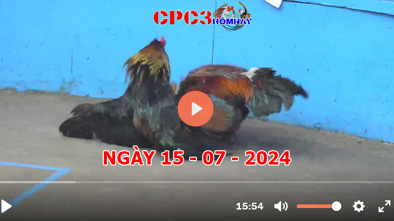 Đá gà CPC3 ngày 15-7-2024