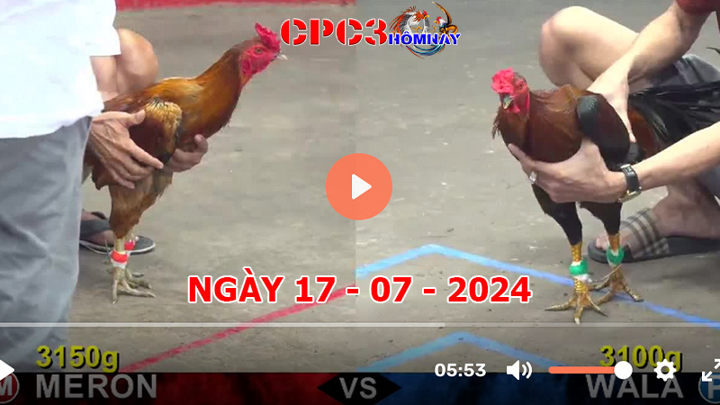 Đá gà CPC3 ngày 17-7-2024