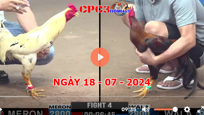 Đá gà CPC3 ngày 18-7-2024