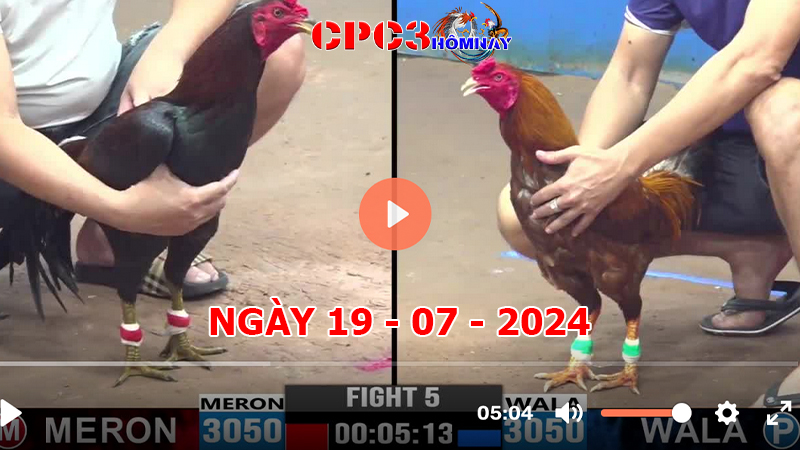 Đá gà CPC3 ngày 19-7-2024