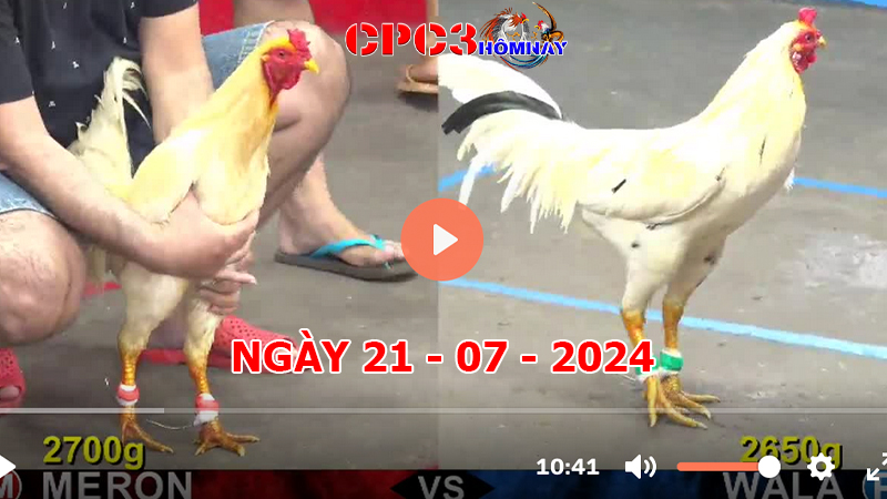 Đá gà CPC3 ngày 21-7-2024