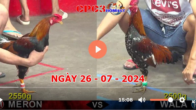 Đá gà CPC3 ngày 26-7-2024