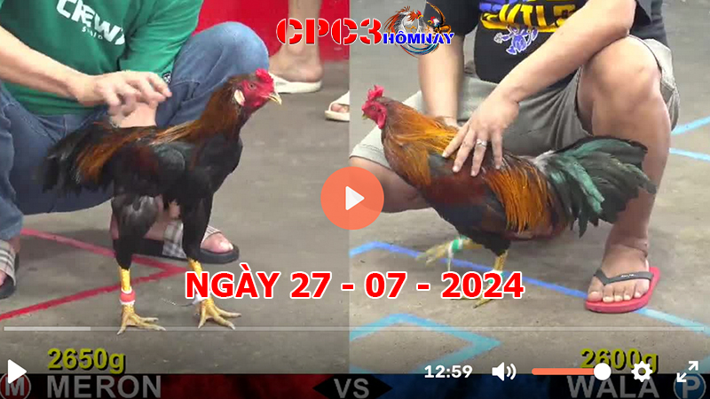 Đá gà CPC3 ngày 27-7-2024