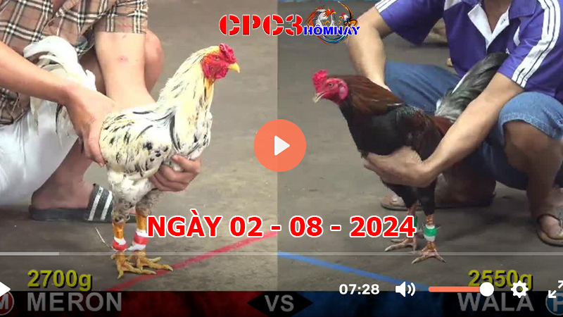 Đá gà CPC3 ngày 02-8-2024