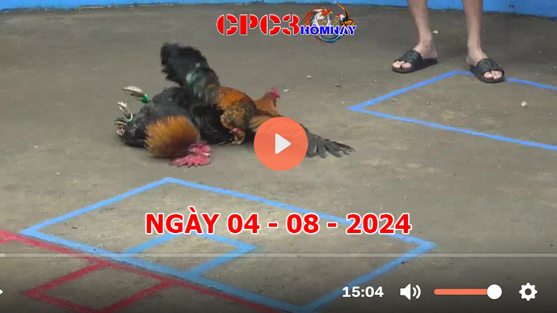 Đá gà CPC3 ngày 04-8-2024