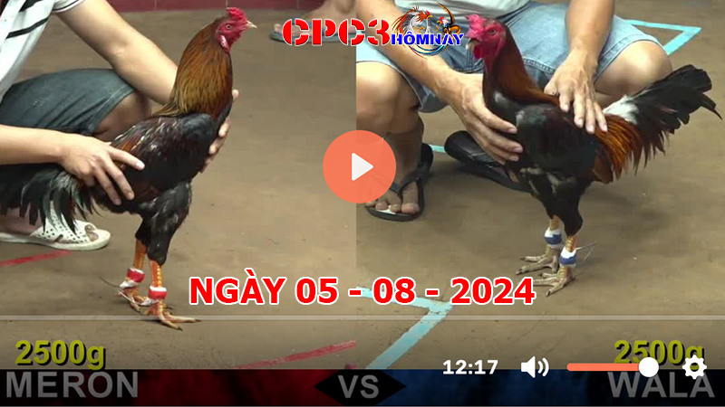 Đá gà CPC3 ngày 05-8-2024