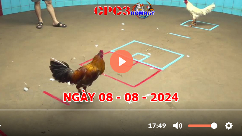 Đá gà CPC3 ngày 08-8-2024