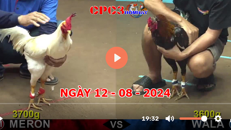 Đá gà CPC3 ngày 12-8-2024