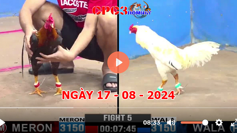 Đá gà CPC3 ngày 17-8-2024