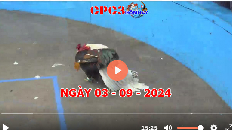 Đá gà CPC3 ngày 03-9-2024