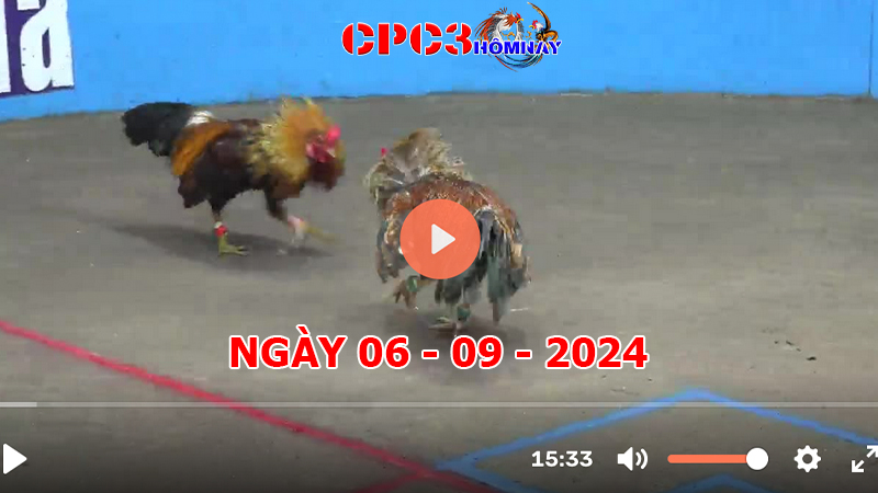 Đá gà CPC3 ngày 06-9-2024