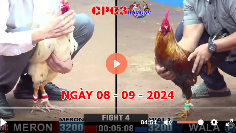 Đá gà CPC3 ngày 08-9-2024