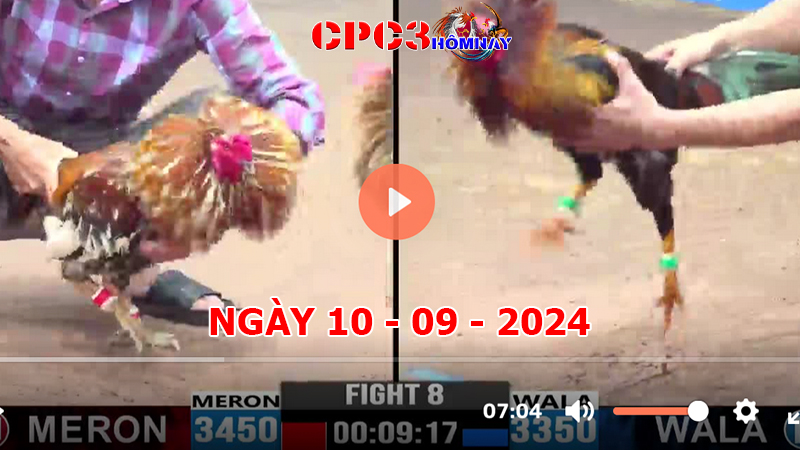 Đá gà CPC3 ngày 10-9-2024