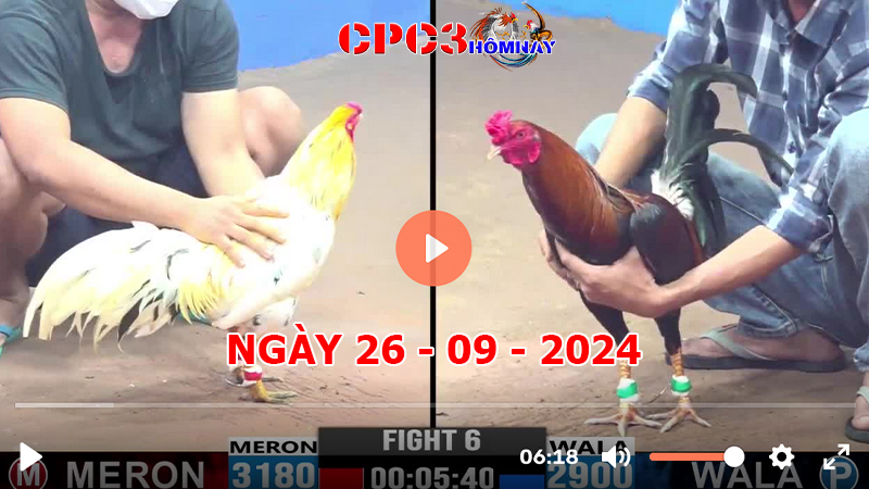 Đá gà CPC3 ngày 26-9-2024