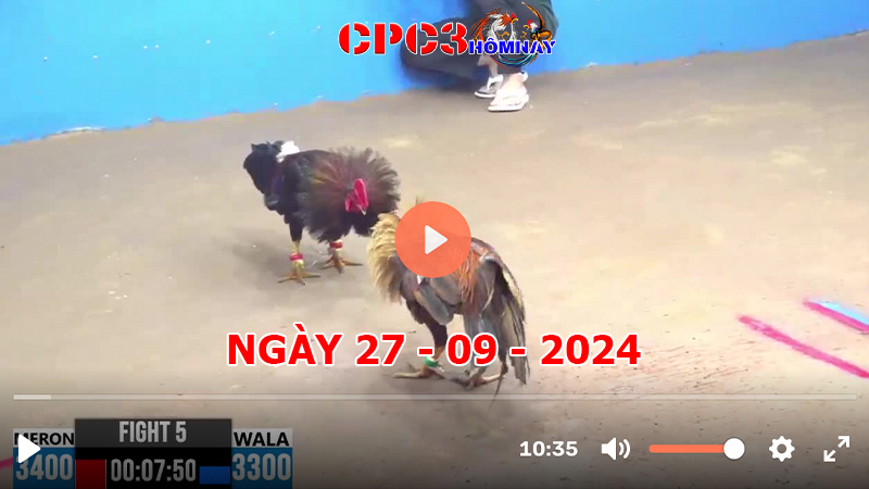 Đá gà CPC3 ngày 27-9-2024