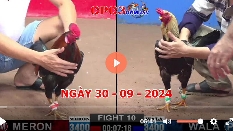 Đá gà CPC3 ngày 30-9-2024