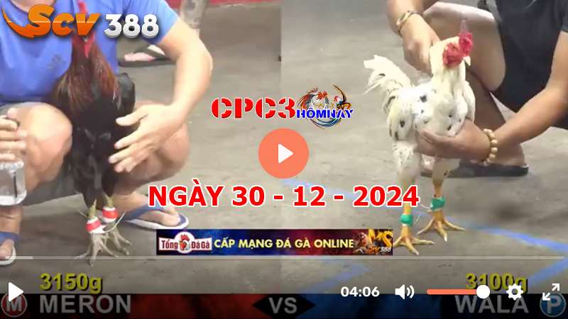 Đá gà CPC3 ngày 30-12-2024